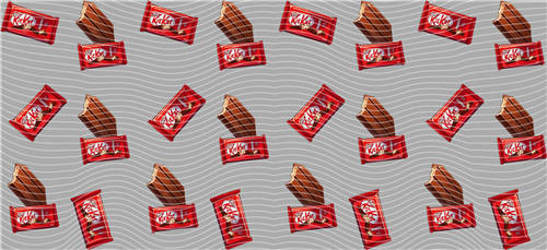 16oz Latest Bestseller-C 4443